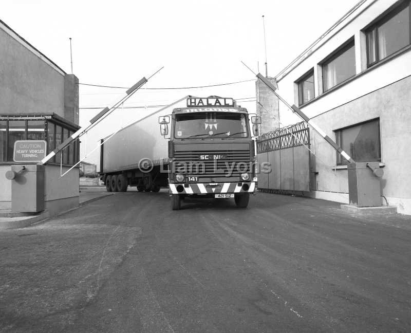 Halal Meat Packers Ltd , Ballyhaunis, March 1986.
